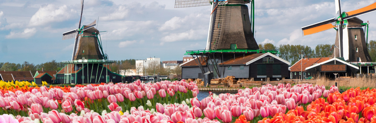 Nederlands